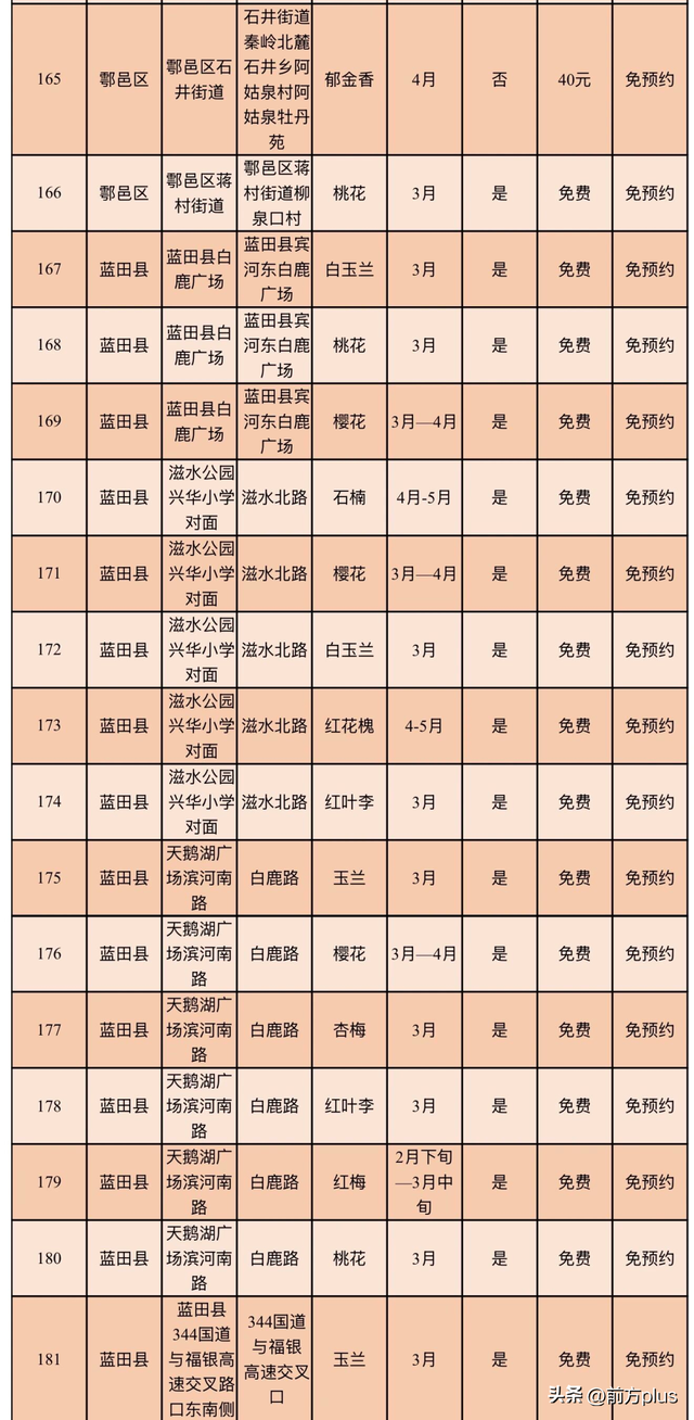 超全！西安2026年春季赏花点位指南