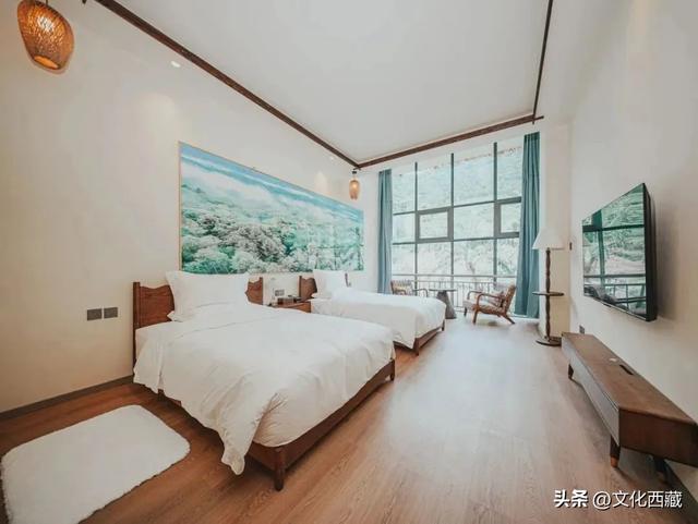 甲子西藏·文旅新章 | 十年蝶变，墨脱绽放旅游富民新画卷