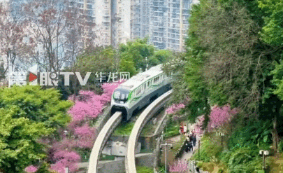 重庆“开往春天的列车”已发车！查收打卡攻略，赶紧上车→