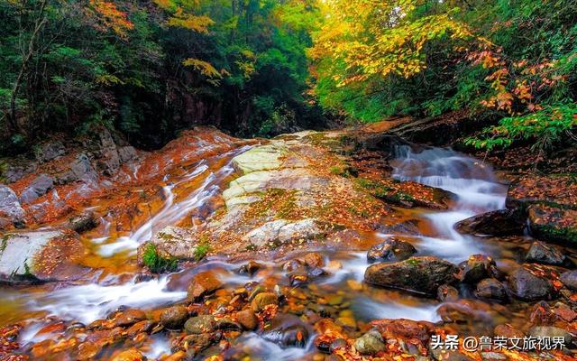 光雾山：川陕腹地的红叶秘境与千年回响