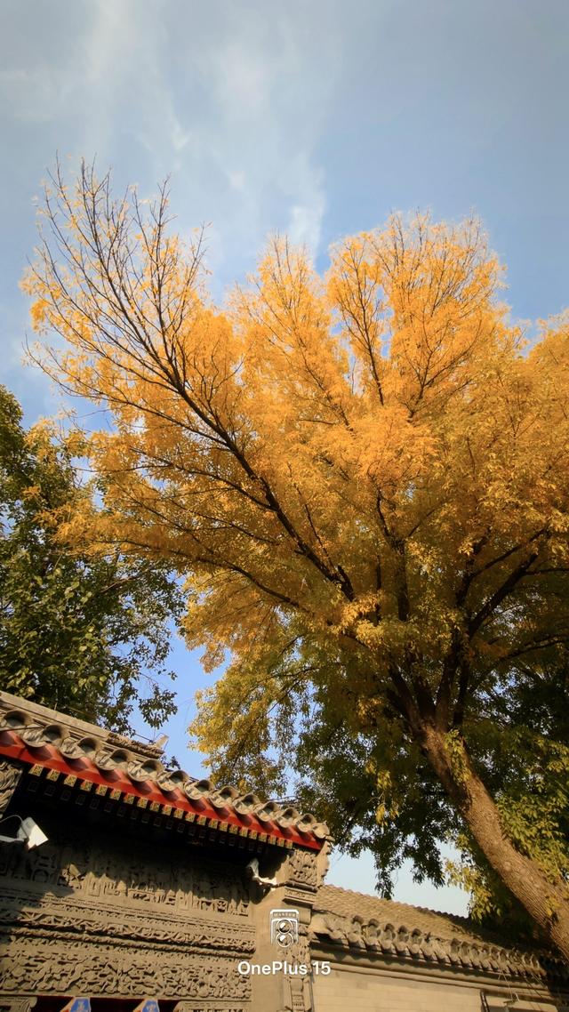 一加15体验：影摄北纬39度线的城市之秋