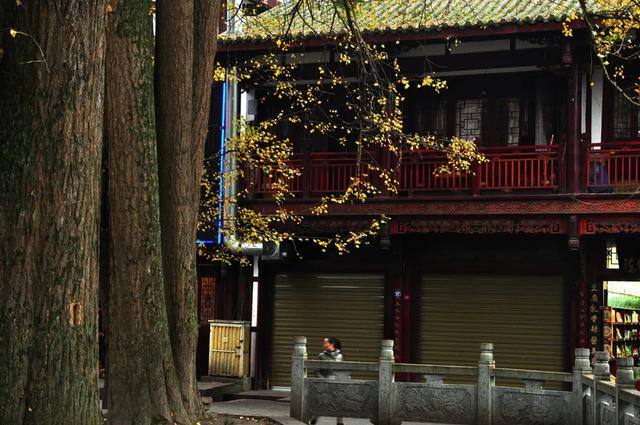 聪明人已经不住酒店了今年国庆出现5大反常尤其第3个，原因很现实