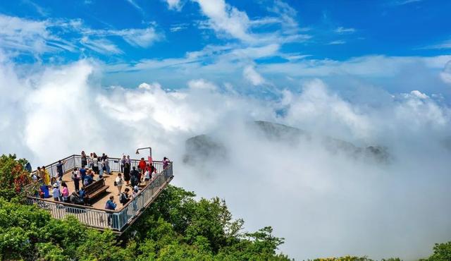 龙头山门票免费送！2025汉中秦岭熊猫音乐嗨唱季，继续狂欢！
