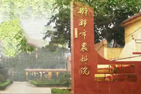 坚定信心 勇挑大梁丨“邯豆”何以变“金豆”——邯郸市农科院大豆育种纪事图片