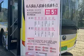 方便！公交专线直达这个景区图片