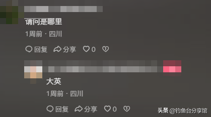 无人捡？四川一河岸上全是“红尾”野生淡水鱼！根本数不清！