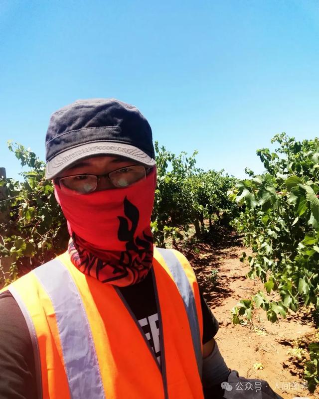 剪葡萄、送外卖挣学费,福建农村娃,如何走进世界顶级博物馆?