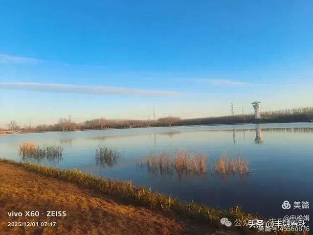 初冬北京朝阳坝河金盏淀:清寒里的静美画卷|申艳娟
