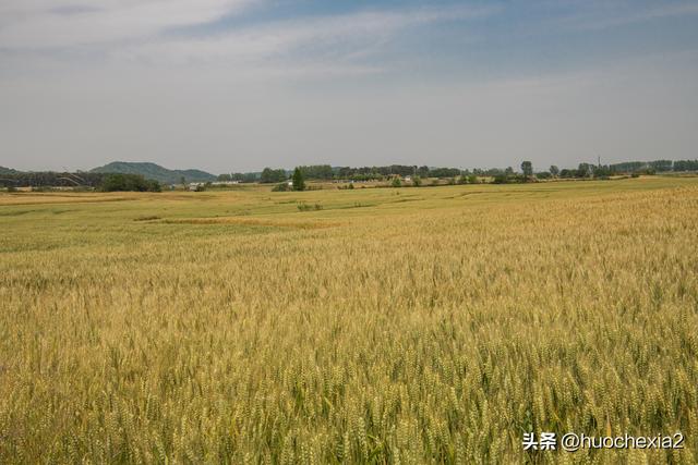 隔壁的城市走一走——镇江丁岗五七林场