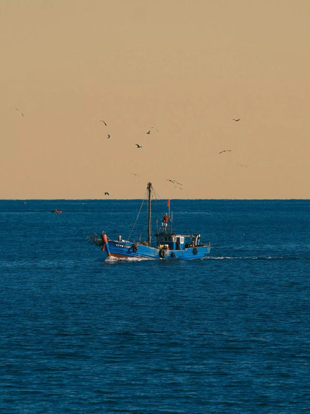 人类为何迷恋万物 ​