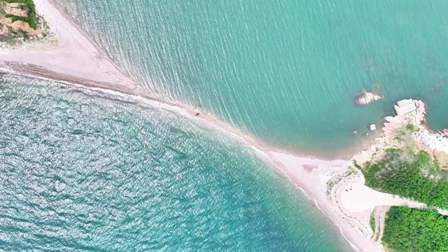 大连这种玩法，《东方时空》探访，全国游客点赞！