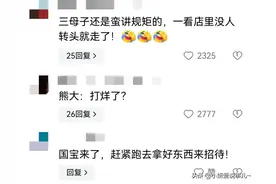 笑喷!三头棕熊来访饭店 服务员撒腿就跑 网友:谁家饭店见熊去吃饭!图片