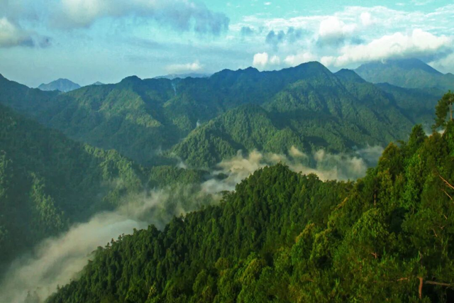 假期出游还要“卷”？建议来韶关神仙山林“森呼吸”