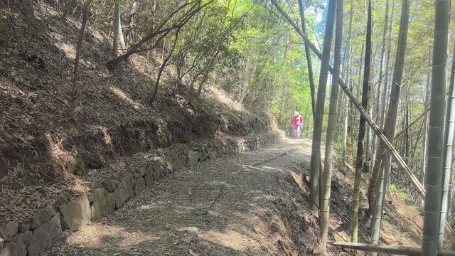 绍兴梅坞古道一条 对新手小白特别友好的线路