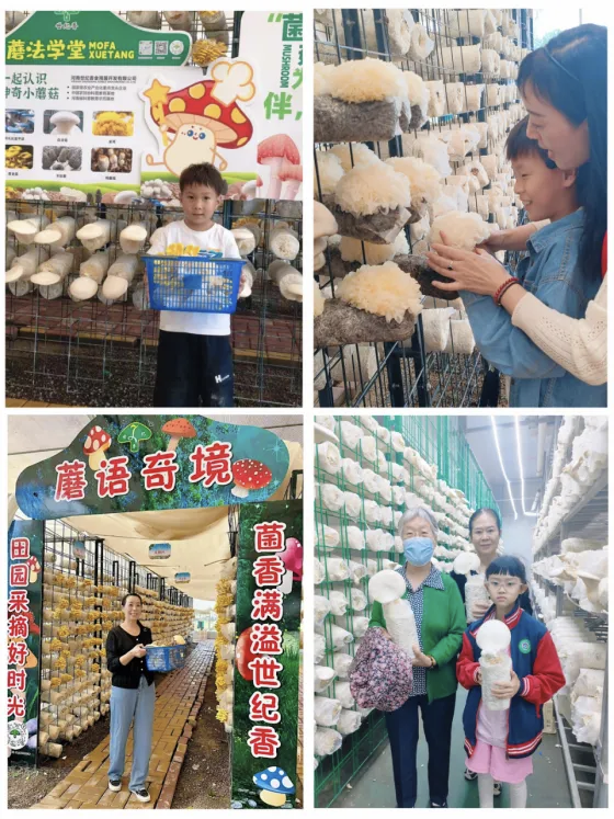 许昌周末漫游 | 把秋天装进篮子里：这份秋季采摘全攻略请收好！