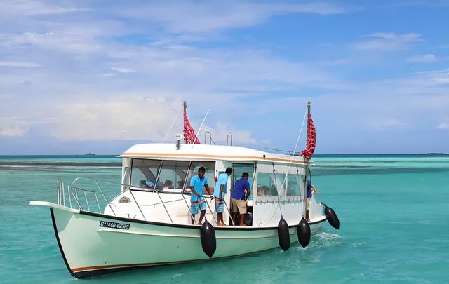 惊险！女子生理期潜水被鲨鱼咬伤，专家：血腥味有刺激