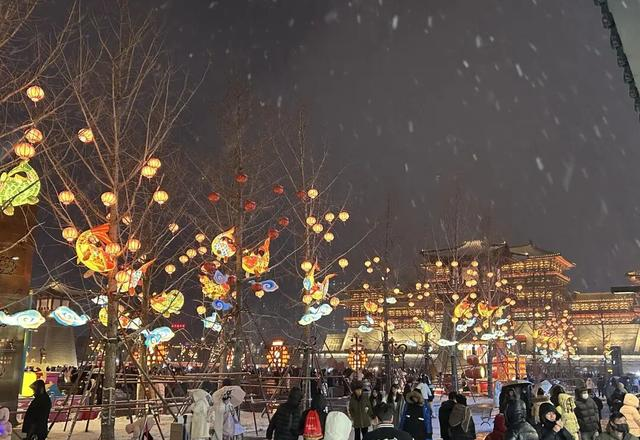 洛阳旅游已回，我的消费观崩塌了！！！