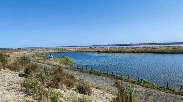 包头天下黄河第一村，靠着黄河边，风景还是不错的
