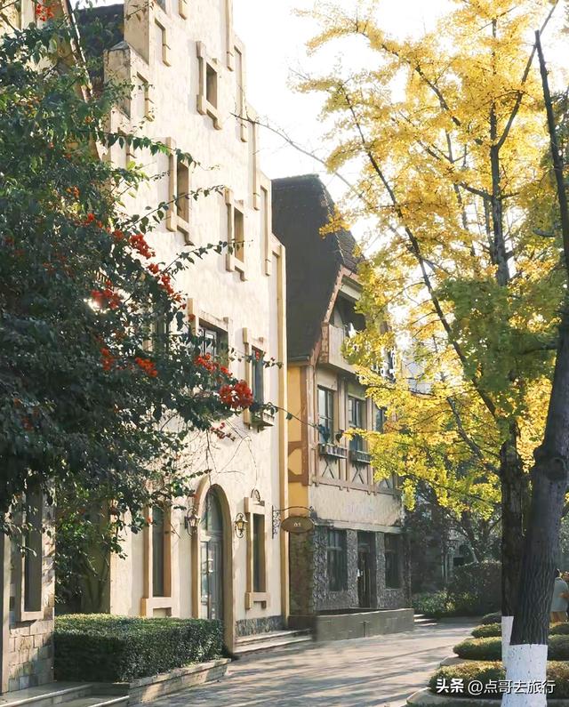 成都超级低调奢华的公园，色彩斑斓，被严重低估，公交车直达！