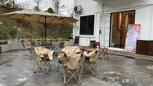 湾里揽胜:蟠龙峰下茶养云