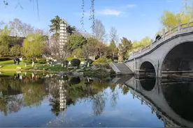 长沙初三少年与姜萍数学竞赛之路揭秘图片