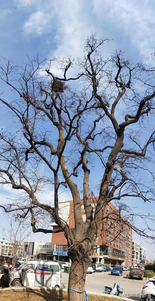 山东菏泽，六大古村