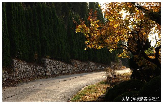 山东行游影记（19）—济南红叶谷