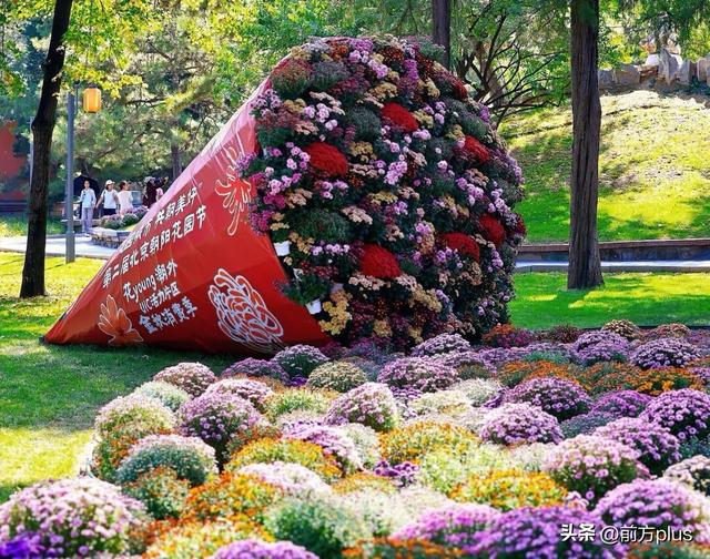 这场不等人的浪漫，有新玩法