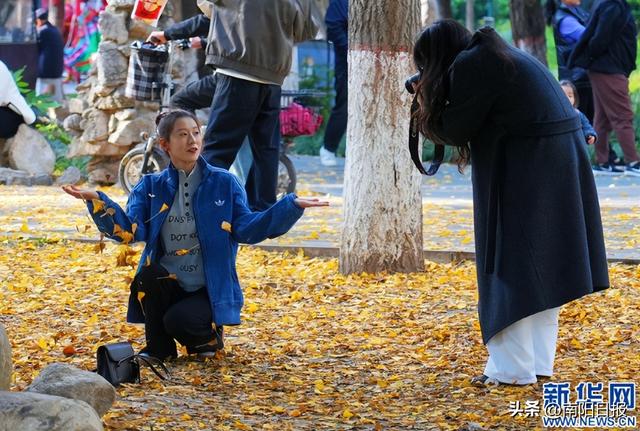 河南南阳：银杏美景吸引市民