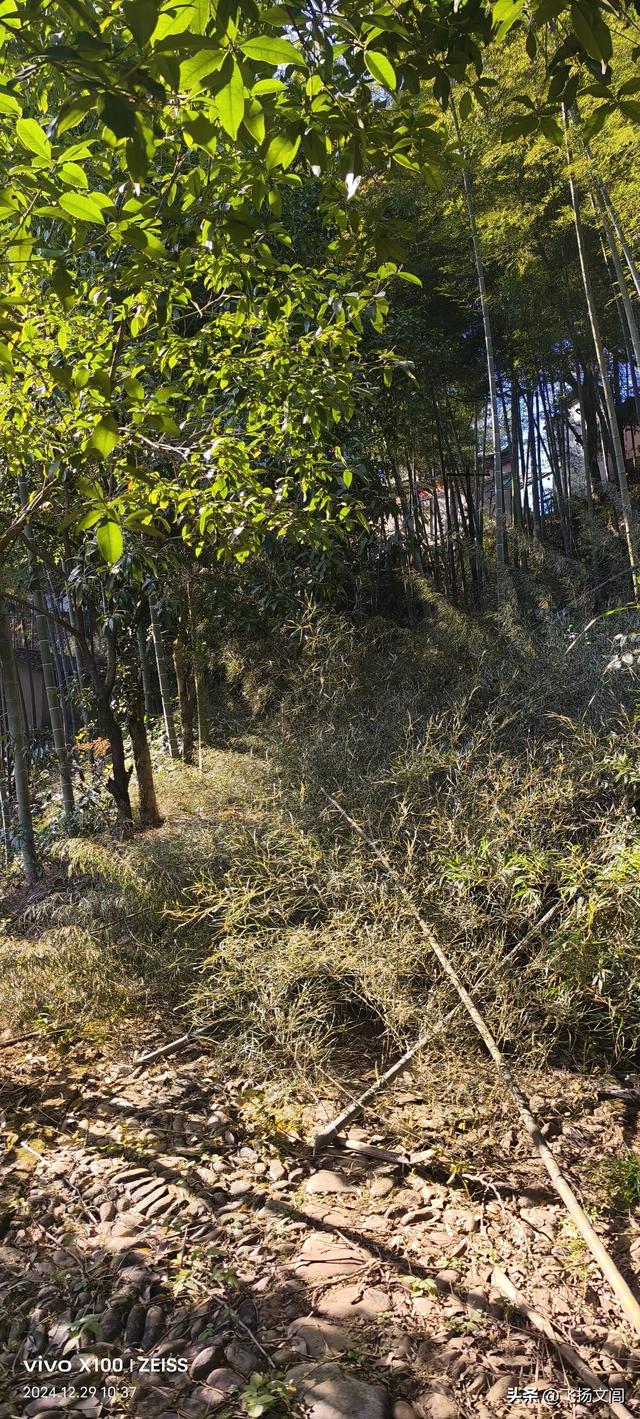 香火鼎盛延续千年的徐偃王庙，徐氏后裔祭祀和纪念先祖的重要场所