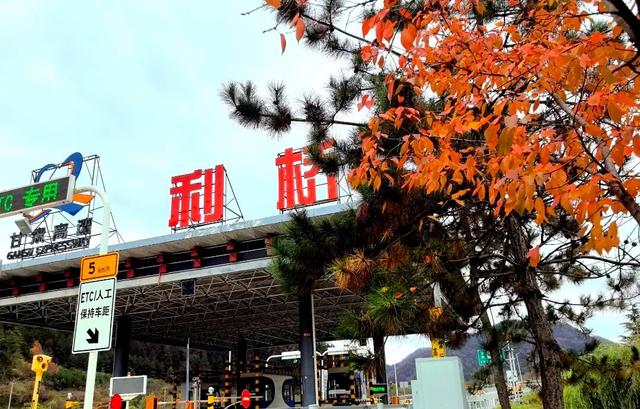 立冬 | 冬临秋未散，邂逅天水高速的鎏金画卷