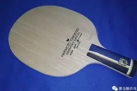 直板篇！我们最喜欢的10款球板（2024版）图片