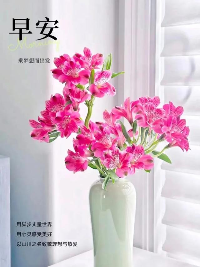早安！适合周日发的朋友圈早安文案，愿被岁月温柔以待，美好相伴