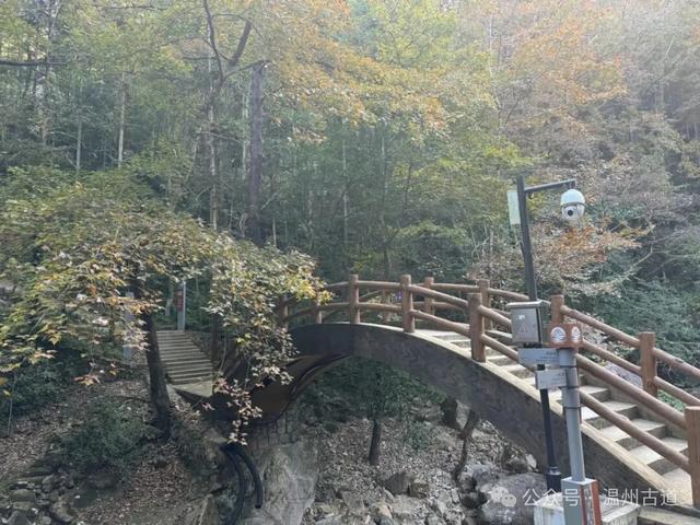 温州这个国家森林公园藏着深秋醉美的秋色,你可去过?