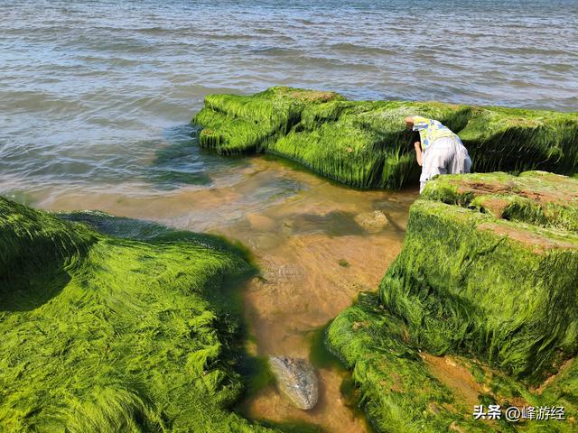 打卡火炬八街，感受美丽的滨海风光，阳光沙滩和礁石海草让人难忘