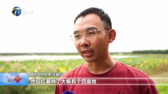 秋高气爽！北辰风光正好！