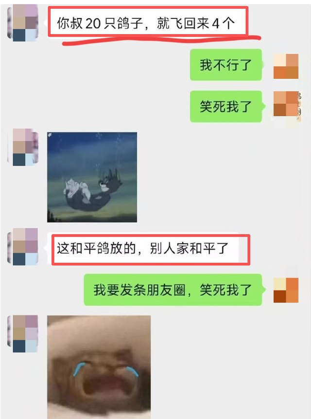 阅兵放飞信鸽翻车现场：不少鸽子“越狱”，原因曝光让养鸽人泪崩