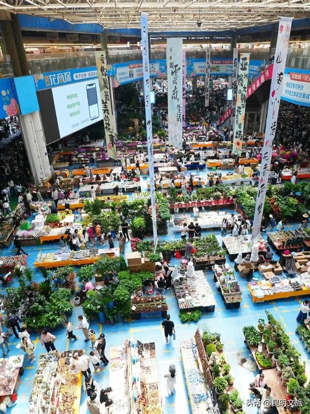 假期最后一天，留给斗南！好吗？把新年浪漫打包回家！