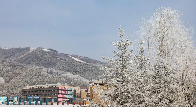 崇礼雾凇美如画