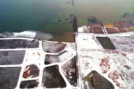 雪后湿地图片