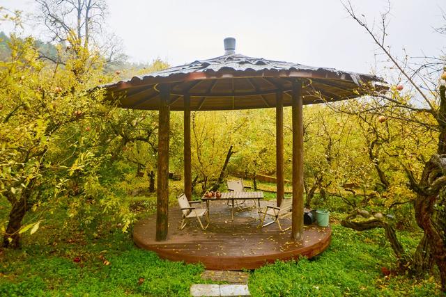 安徽淮北有一座明清石榴园，红了整整几百年，在这里品味百年榴韵