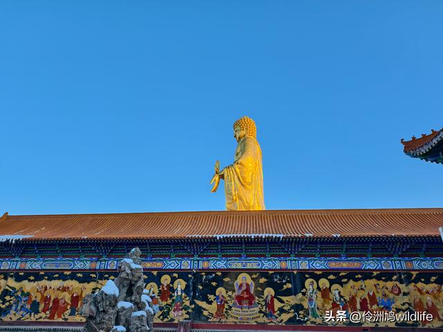 新疆乌鲁木齐红光山大佛寺