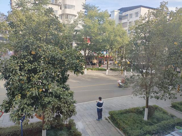 鄂渝行第五天：巴东—宜昌—秭归.屈原故里