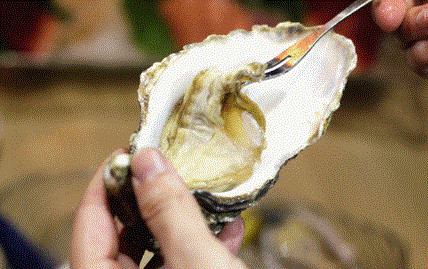 宁海：藏于宁波的宝藏小城，承包江南冬日的所有浪漫