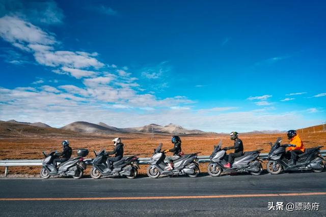 大小两群羊，3500公里的珠峰朝圣之旅