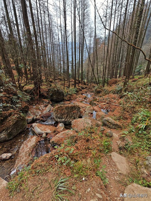 徒步都江堰上元古道｜12公里千阶登顶，一场与自己的硬核对话