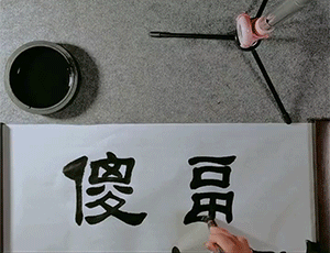 “姑娘，不是什么照片都能随便发的！”哈哈哈亮点都看到了！