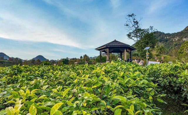 广东英德宝藏玩法：网红村/宋风古镇/仙境茶园/童话寨子全搞定