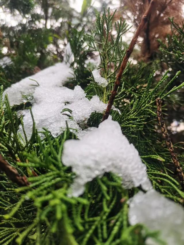 临洮秋天的雪，来啦！