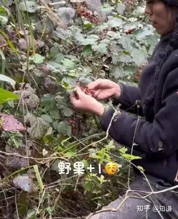 热议丨荒野求生5名选手血钾超标	，这是哪些因素造成的？有何影响